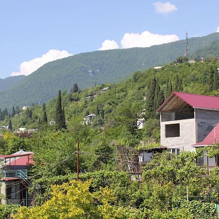 Guest House Zvanba Gagra Exterior photo